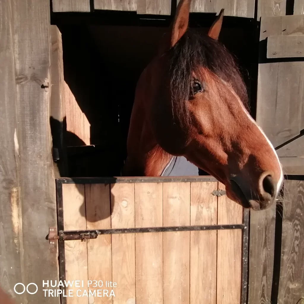 Casa Zen – Alojamento Local