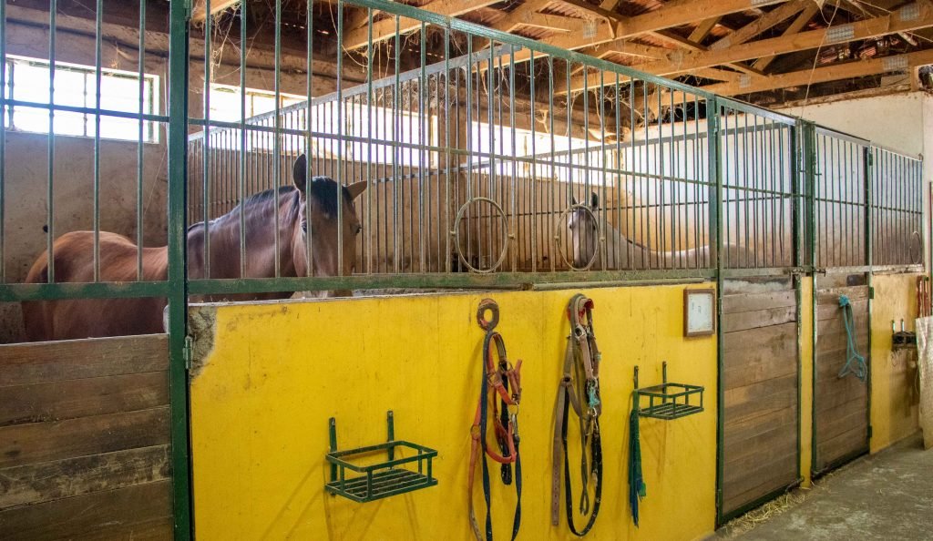 Centro Hípico Assinatura de Mestre