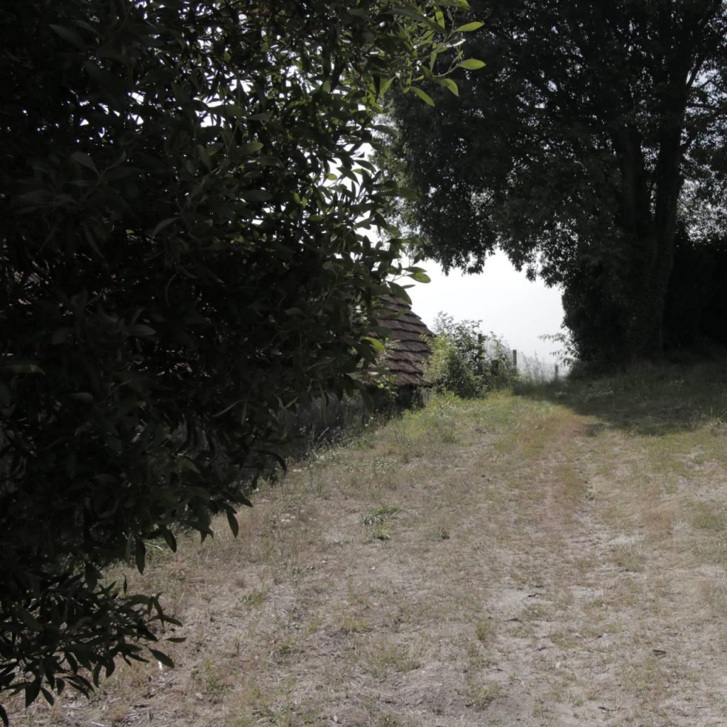 7.	Troço de via romana Mouta - Espiúca
