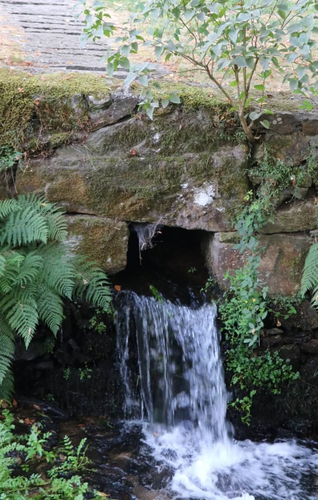 Parque Natural de Borba de Godim